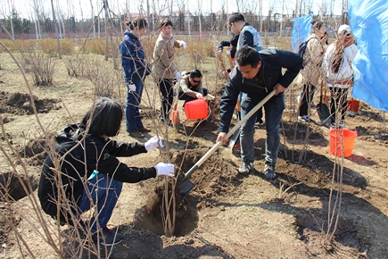 绿水青山就是金山银山，植树造林即是福泽万民——8873a欢迎光临必赢党员植树活动